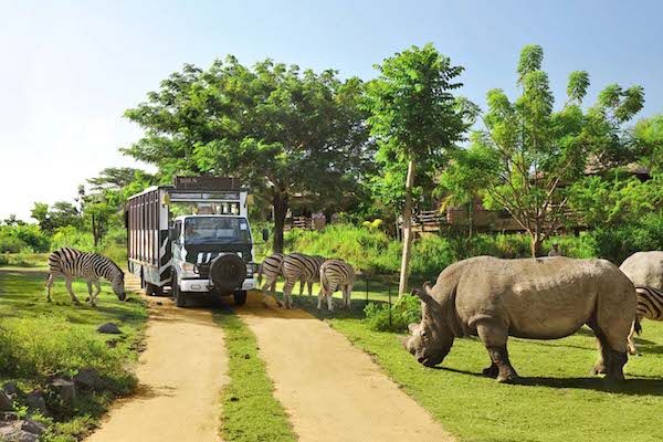 Bali Safari and Marine Park