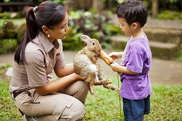 Bali Zoo