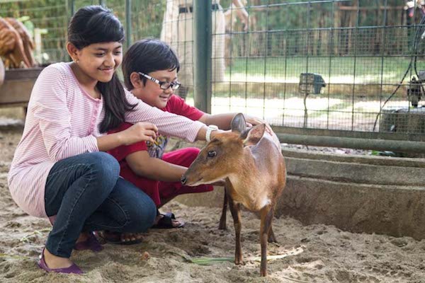 Bali Zoo