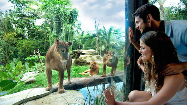 Bali Zoo