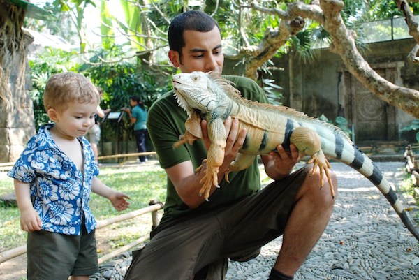 Park birds and reptiles