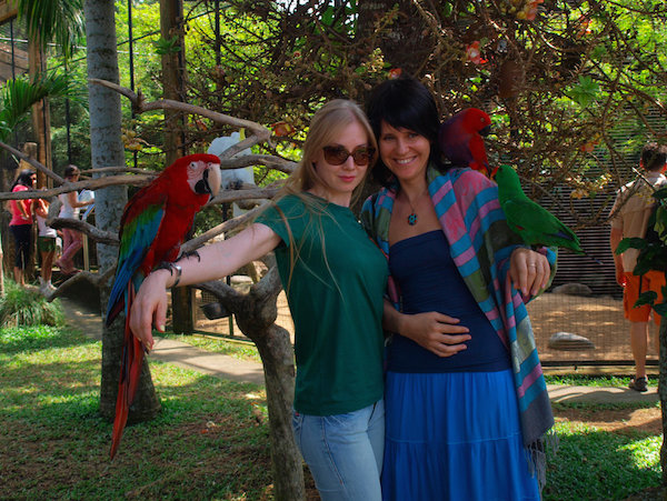 Park birds and reptiles