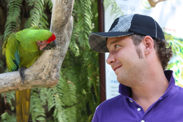 Park birds and reptiles