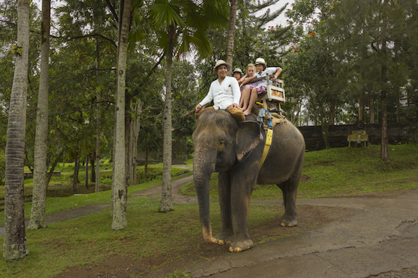 Elephants Park Taro in Ubud