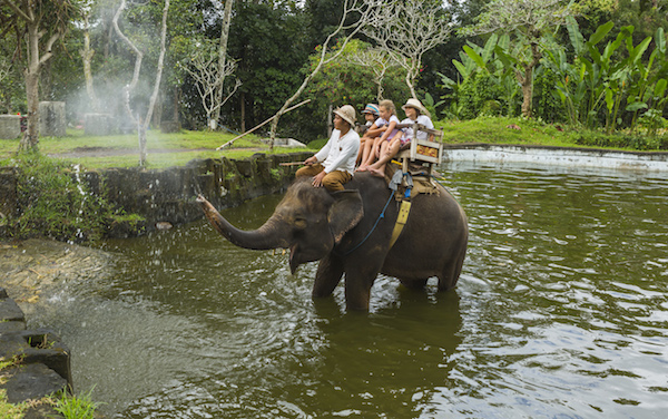 Elephants Park Taro in Ubud