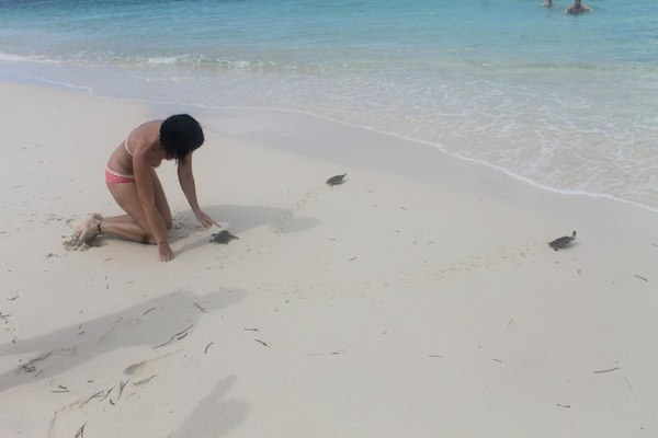 gili island bali
