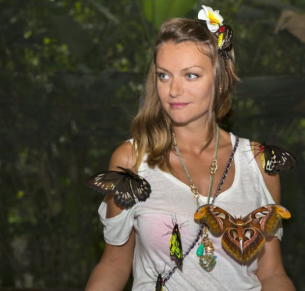 Butterfly Park