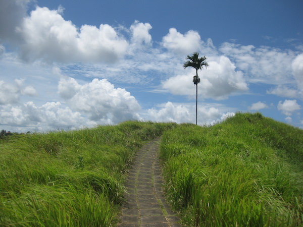 ubud bali