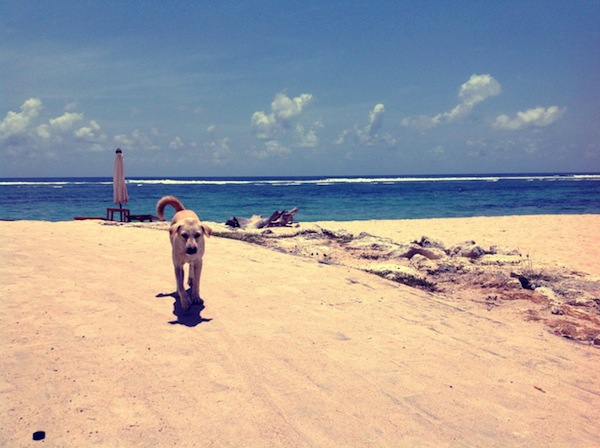 Pandawa Beach